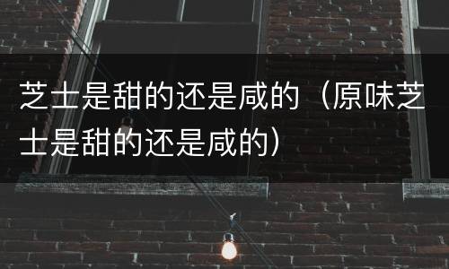 芝士是甜的还是咸的（原味芝士是甜的还是咸的）