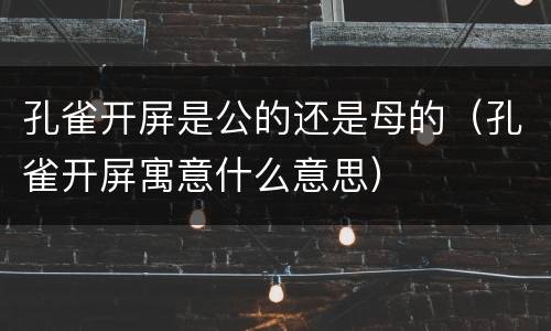 孔雀开屏是公的还是母的（孔雀开屏寓意什么意思）
