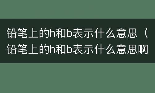 铅笔上的h和b表示什么意思（铅笔上的h和b表示什么意思啊）
