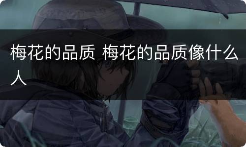 梅花的品质 梅花的品质像什么人