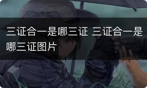 三证合一是哪三证 三证合一是哪三证图片