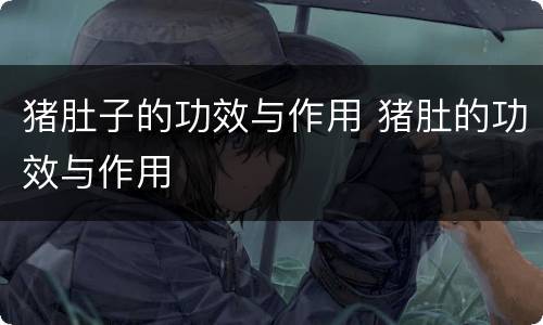 猪肚子的功效与作用 猪肚的功效与作用