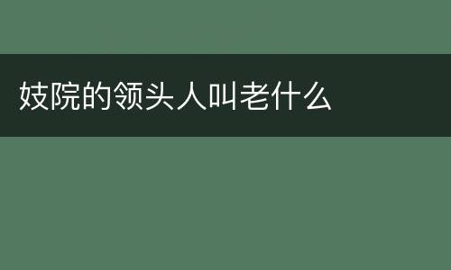 妓院的领头人叫老什么