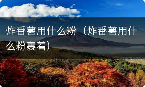 炸番薯用什么粉（炸番薯用什么粉裹着）