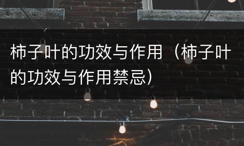 柿子叶的功效与作用（柿子叶的功效与作用禁忌）