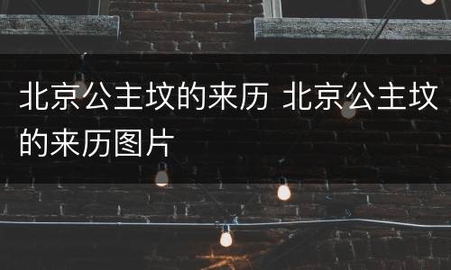 北京公主坟的来历 北京公主坟的来历图片