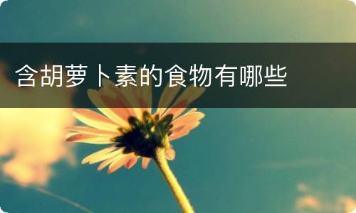 含胡萝卜素的食物有哪些