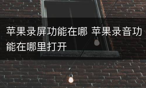 苹果录屏功能在哪 苹果录音功能在哪里打开