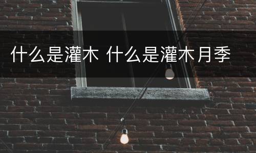 什么是灌木 什么是灌木月季