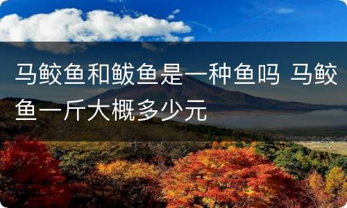 马鲛鱼和鲅鱼是一种鱼吗 马鲛鱼一斤大概多少元