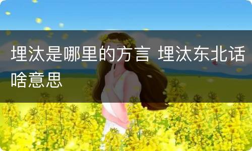埋汰是哪里的方言 埋汰东北话啥意思
