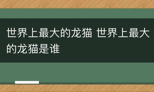 世界上最大的龙猫 世界上最大的龙猫是谁