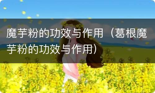 魔芋粉的功效与作用（葛根魔芋粉的功效与作用）