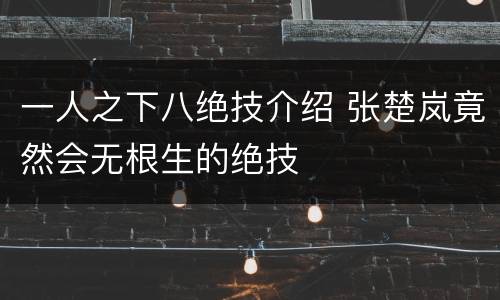 一人之下八绝技介绍 张楚岚竟然会无根生的绝技