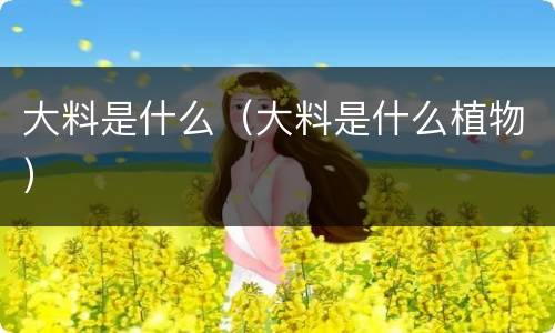 大料是什么（大料是什么植物）