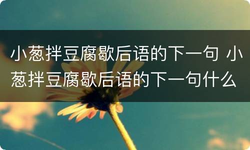 小葱拌豆腐歇后语的下一句 小葱拌豆腐歇后语的下一句什么意思