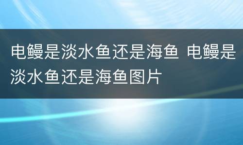 电鳗是淡水鱼还是海鱼 电鳗是淡水鱼还是海鱼图片