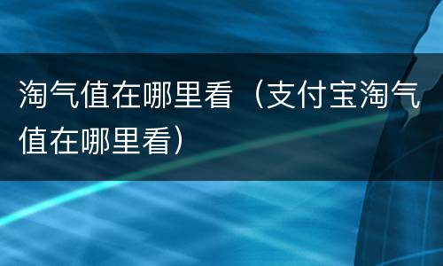 淘气值在哪里看（支付宝淘气值在哪里看）