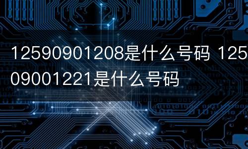 12590901208是什么号码 125909001221是什么号码