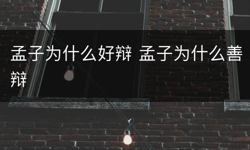 孟子为什么好辩 孟子为什么善辩