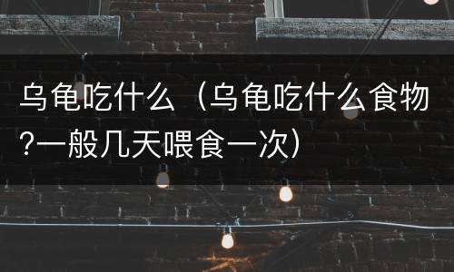 乌龟吃什么（乌龟吃什么食物?一般几天喂食一次）