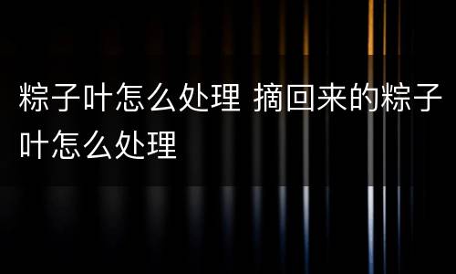 粽子叶怎么处理 摘回来的粽子叶怎么处理