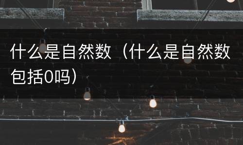 什么是自然数（什么是自然数包括0吗）
