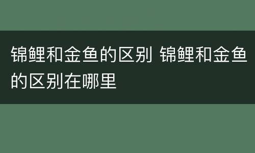 锦鲤和金鱼的区别 锦鲤和金鱼的区别在哪里