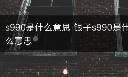 s990是什么意思 银子s990是什么意思