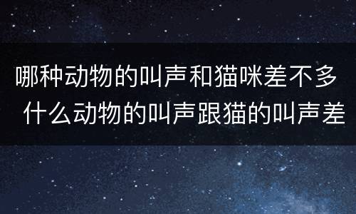 哪种动物的叫声和猫咪差不多 什么动物的叫声跟猫的叫声差不多