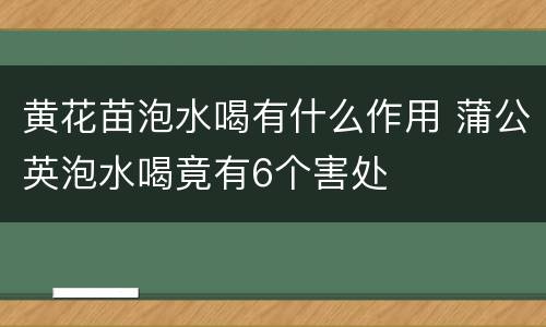 黄花苗泡水喝有什么作用 蒲公英泡水喝竟有6个害处