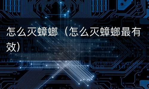 怎么灭蟑螂（怎么灭蟑螂最有效）