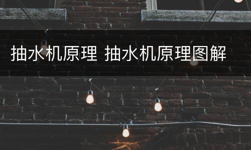 抽水机原理 抽水机原理图解