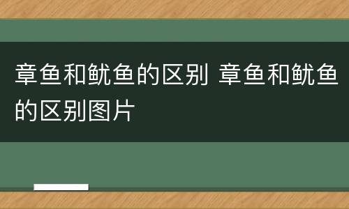 章鱼和鱿鱼的区别 章鱼和鱿鱼的区别图片
