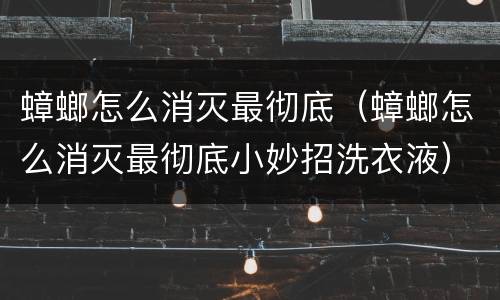 蟑螂怎么消灭最彻底（蟑螂怎么消灭最彻底小妙招洗衣液）