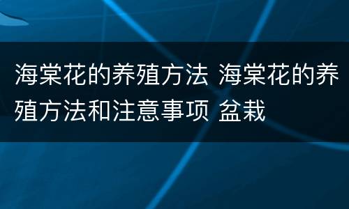 海棠花的养殖方法 海棠花的养殖方法和注意事项 盆栽
