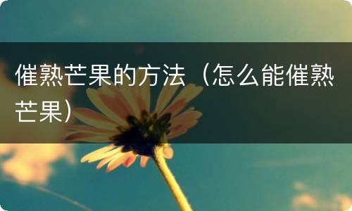 催熟芒果的方法（怎么能催熟芒果）