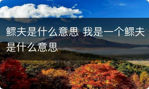 鳏夫是什么意思 我是一个鳏夫是什么意思