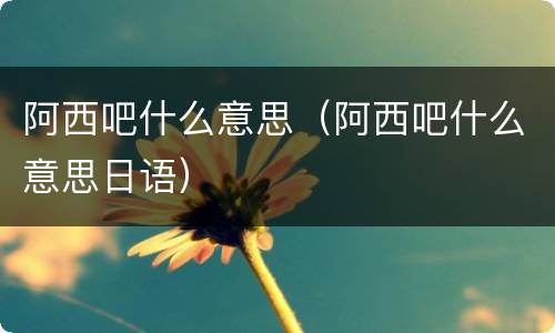 阿西吧什么意思（阿西吧什么意思日语）