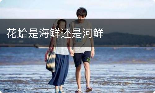 花蛤是海鲜还是河鲜