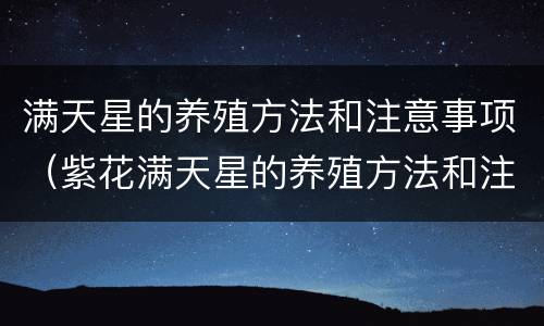 满天星的养殖方法和注意事项（紫花满天星的养殖方法和注意事项）