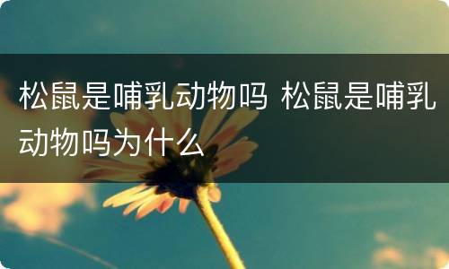 松鼠是哺乳动物吗 松鼠是哺乳动物吗为什么