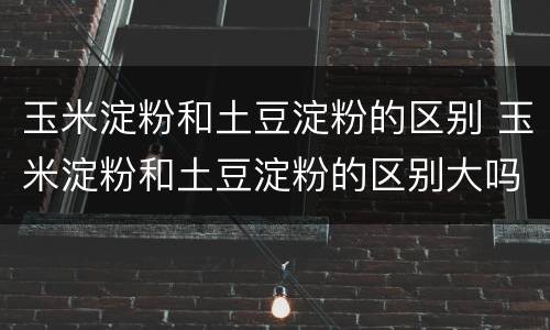 玉米淀粉和土豆淀粉的区别 玉米淀粉和土豆淀粉的区别大吗