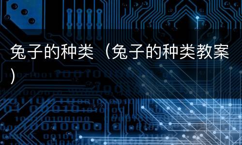 兔子的种类（兔子的种类教案）