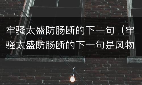 牢骚太盛防肠断的下一句（牢骚太盛防肠断的下一句是风物长宜放眼量是谁的诗）