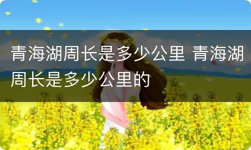 青海湖周长是多少公里 青海湖周长是多少公里的