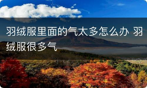 羽绒服里面的气太多怎么办 羽绒服很多气