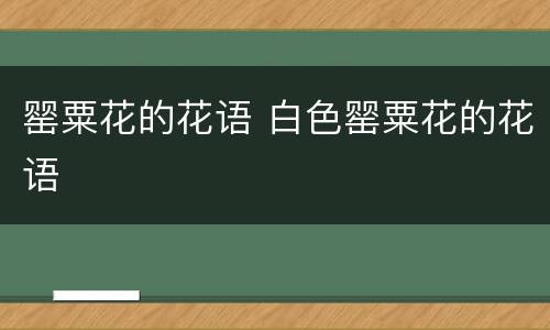 罂粟花的花语 白色罂粟花的花语