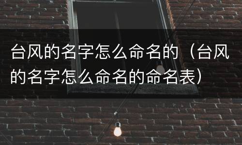 台风的名字怎么命名的（台风的名字怎么命名的命名表）