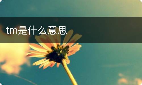 tm是什么意思